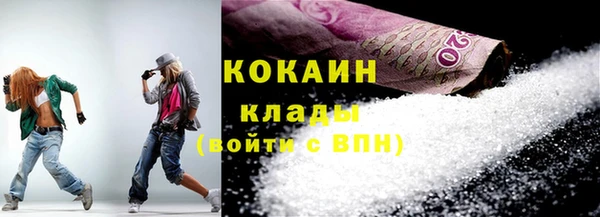 прущие грибы Абаза