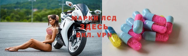 стаф Абинск