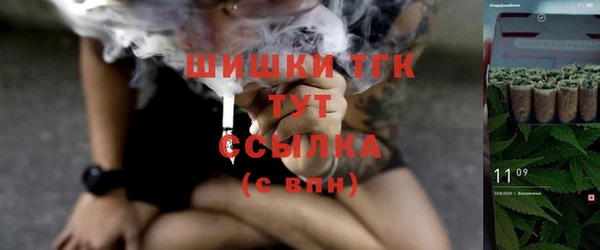 стаф Абинск