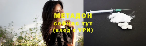 прущие грибы Абаза
