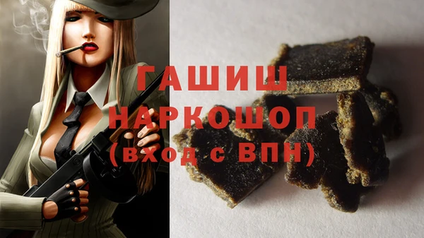 прущие грибы Абаза