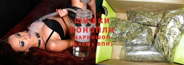 прущие грибы Абаза