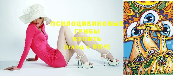 стаф Абинск