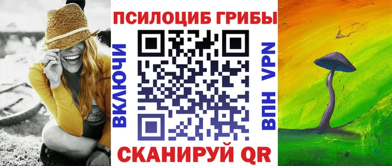 Псилоцибиновые грибы Psilocybine cubensis  где найти   Камышлов 