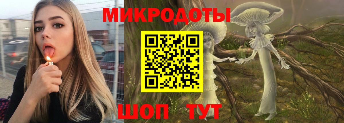 Галлюциногенные грибы ЛСД Камышлов